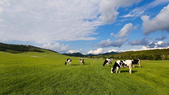 三寰牧场“盛夏光年·营地文化艺术季”开启夏日模式
