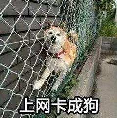 质量最差的宽带,最垃圾的宽带是哪个