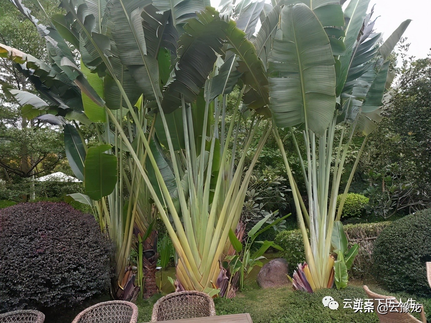 漳州长泰半月山温泉旅游团,漳州半月山温泉度假村