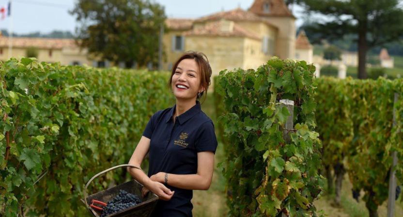 赵薇范冰冰林心如,赵薇林心如范冰冰红透半边天