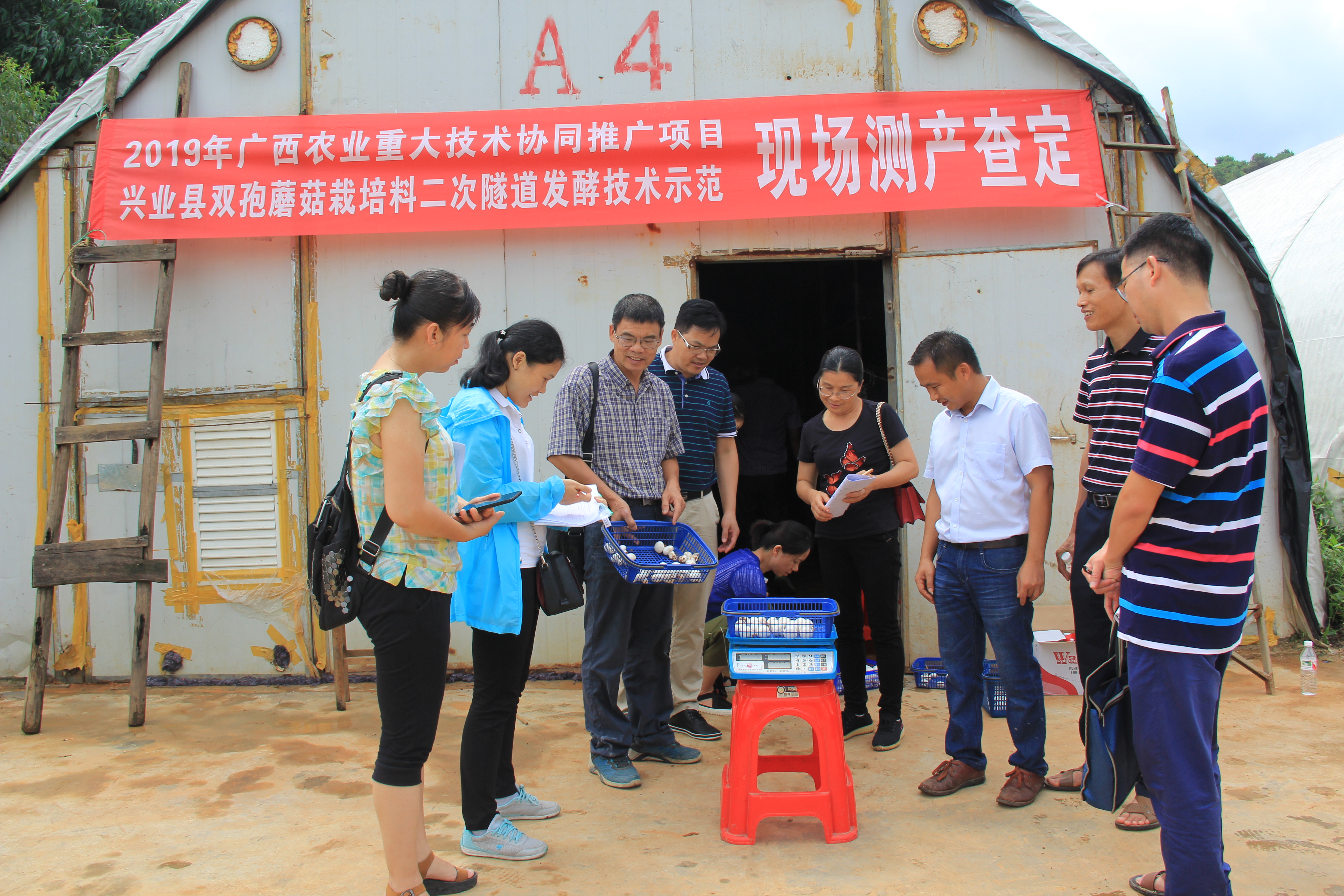 种植蘑菇一亩地能赚多少钱,种植100平方蘑菇每年能挣多少钱