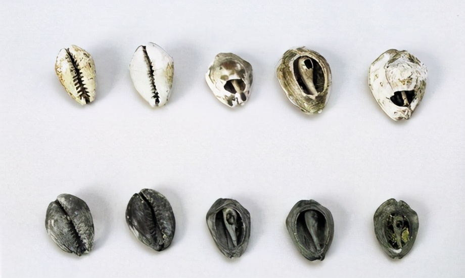 在古代富可敌国,富可敌国的真实历史