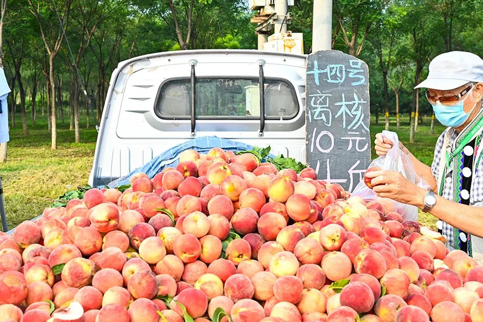 满满的烟火气逛大集真好玩,最值得逛的大集