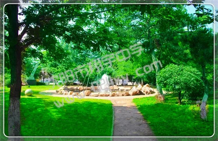 辽宁翔宇中学,2021辽宁沈阳翔宇中学