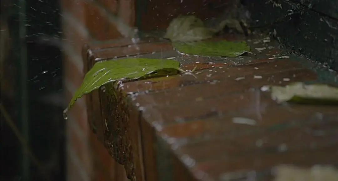 它拍出了盲人难以启齿的“性”，获奖无数，却连本钱都没有收回来