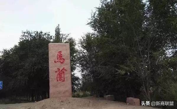 揭秘*疆新**马兰