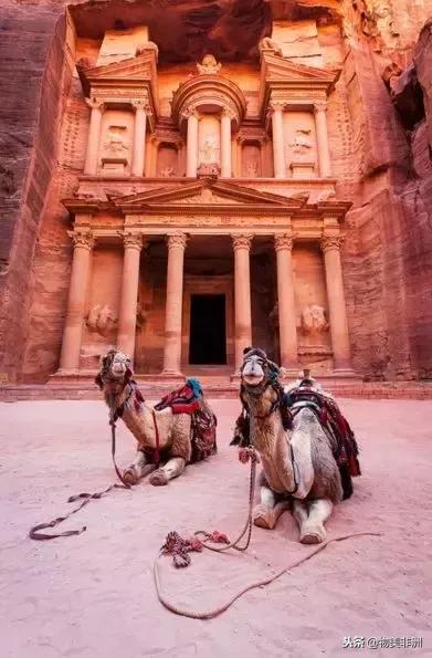 去了非洲才知道，人类才只是这个世界的过路者