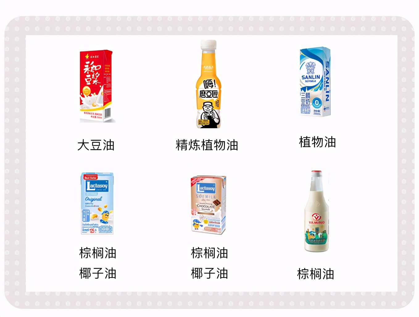 精选10款特点风味豆奶推荐,豆本豆豆奶和植选豆奶对比