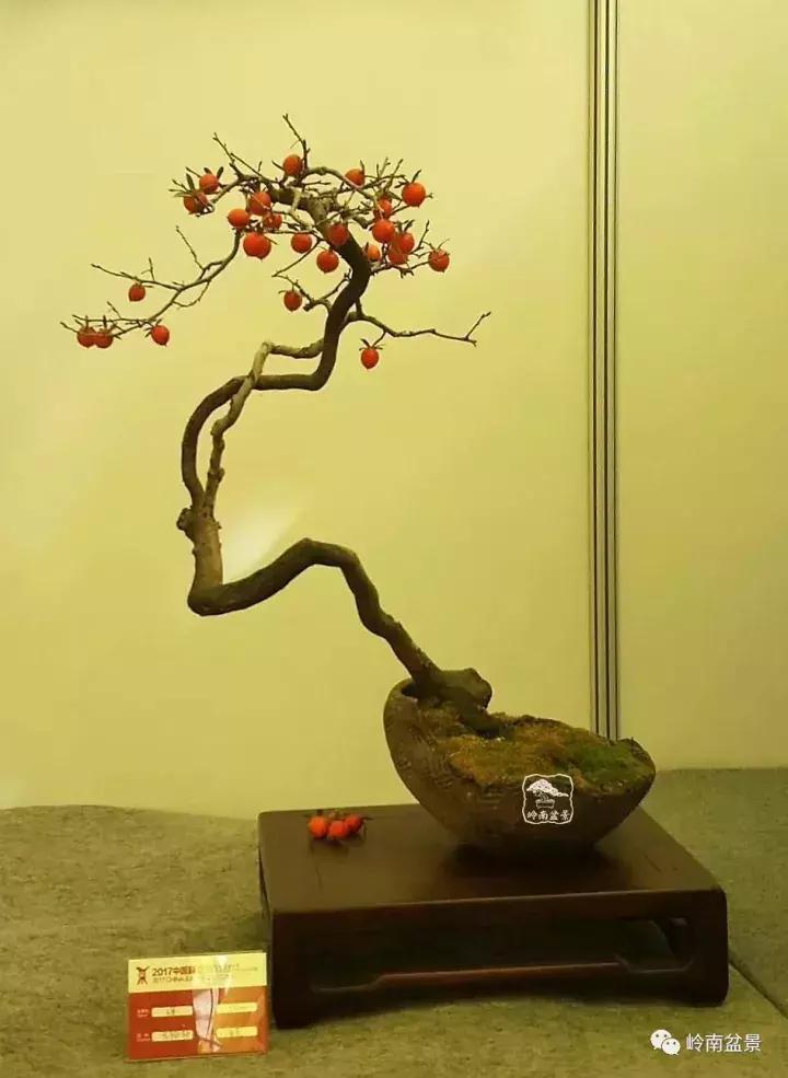 一盆盆景佳作究竟应该是怎样的,大师级盆景作品欣赏