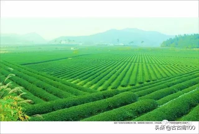 绍兴诗意民宿酒店式公寓,绍兴诗意