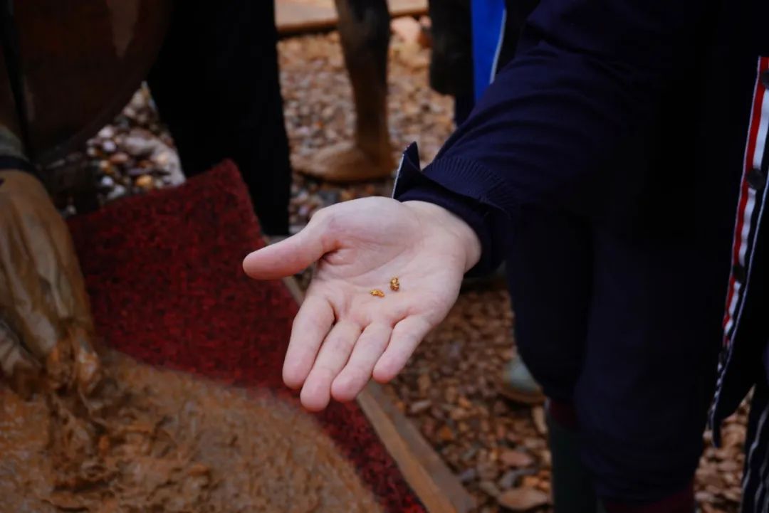 黄金金条什么是最纯的,黄金冷知识大全图片