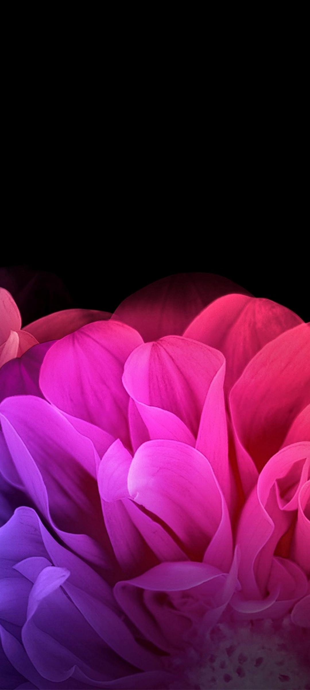 方便整顿桌面图标的壁纸,不影响电脑性能的动态壁纸