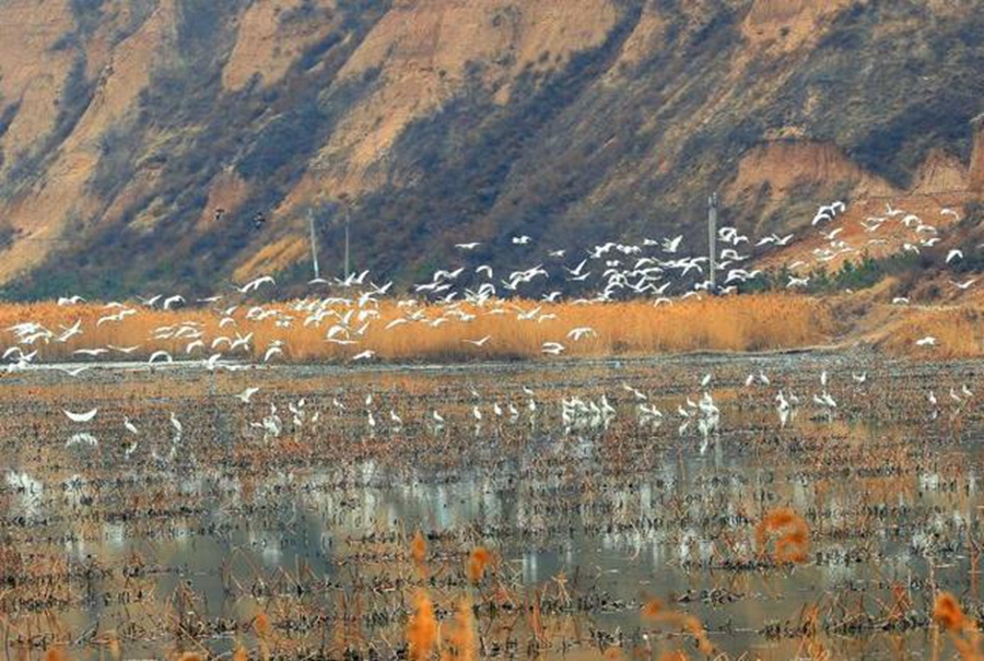 渭南旅游资讯排名,渭南旅游线路攻略图高清