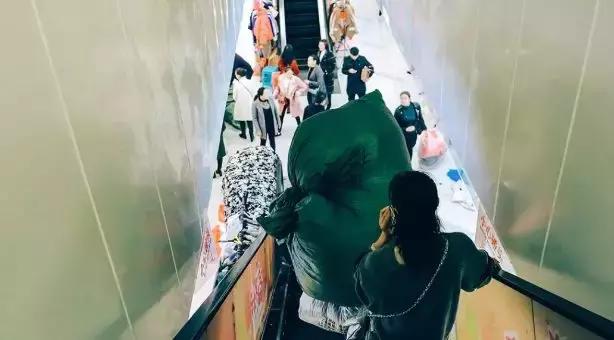 荷花池复原,荷花池变身素材