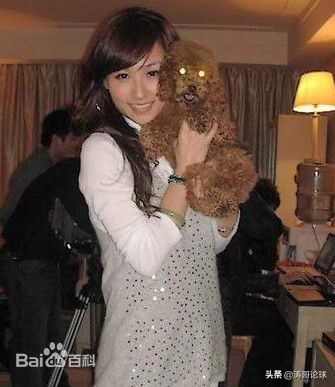 国足太太团现状,国足太太团急不可耐