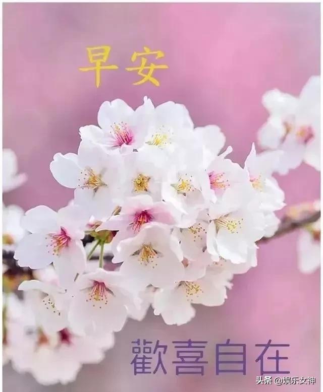 早安短信问候语简短最新版,清晨早安问候祝福语短信内容