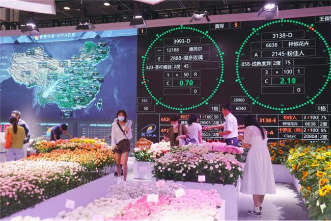 让人惊艳的花展,花展上看到的美到窒息