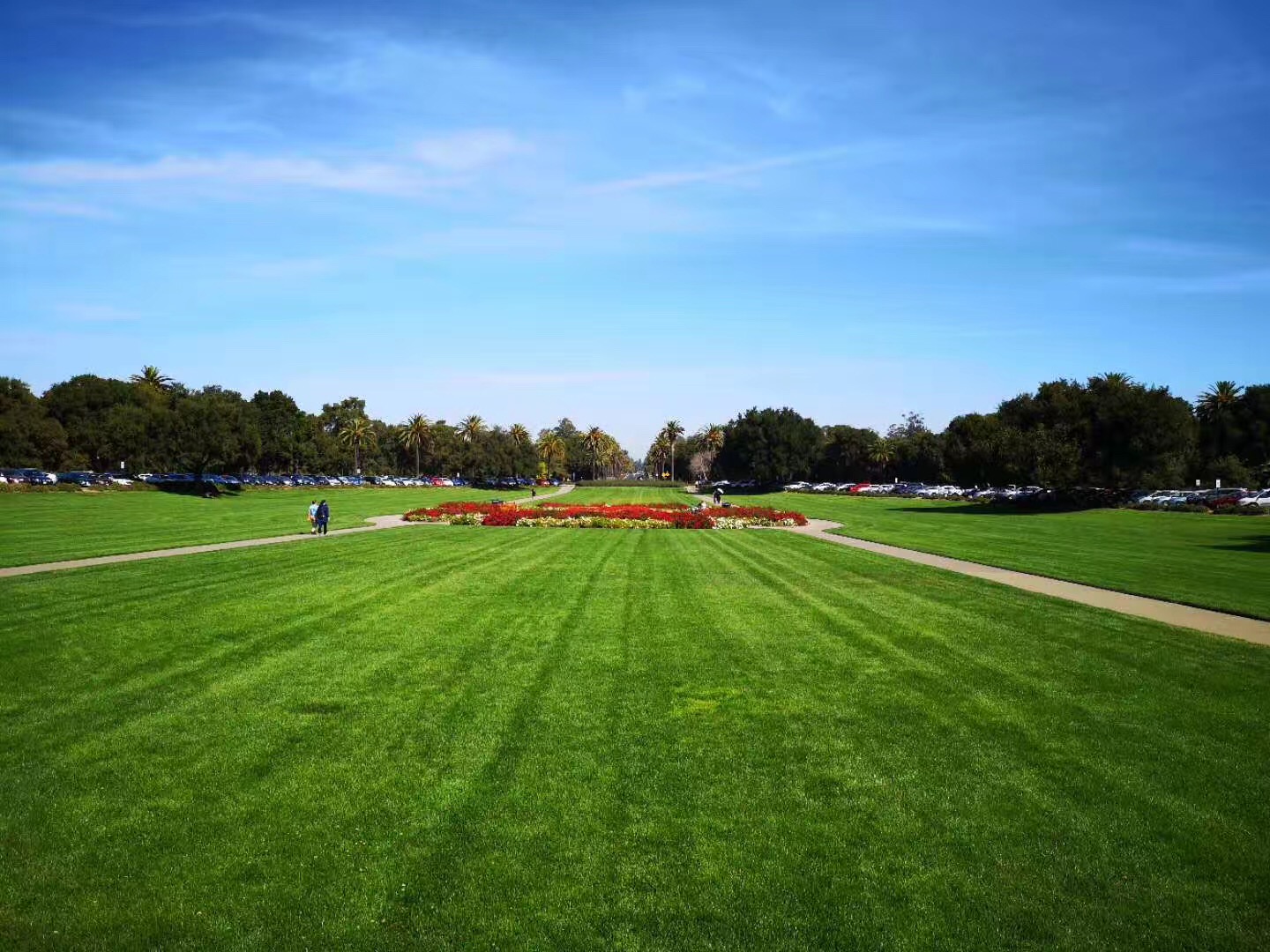 华尔街最受欢迎的美国大学,美国高科技公司最喜欢的大学排名