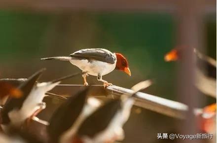 2020最佳旅行目的地榜单揭晓,2019年十大旅行目的地
