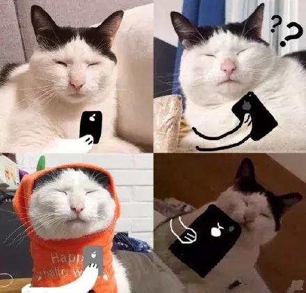 说好让*日我**赚八百，怎么变成了*子骗**日进八千？