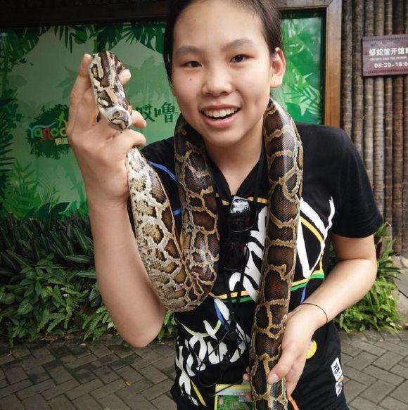 女排未来三大新星浮出水面,女排4位新星竞争白热化