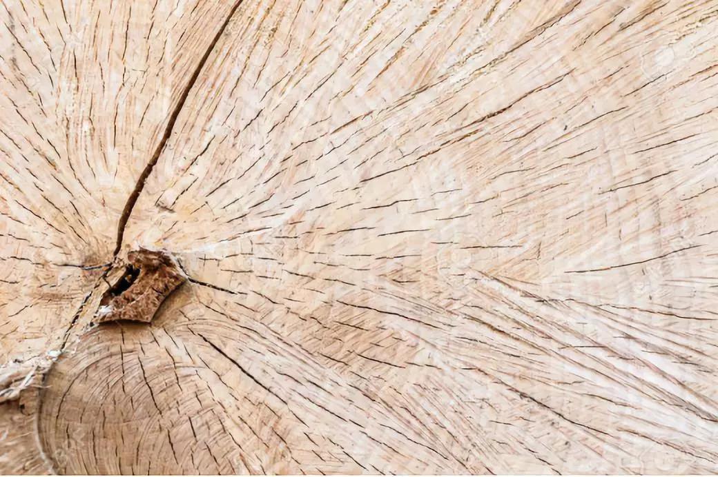 想要购买实木家具去哪里买,准备买家具这几种木材你都了解吗