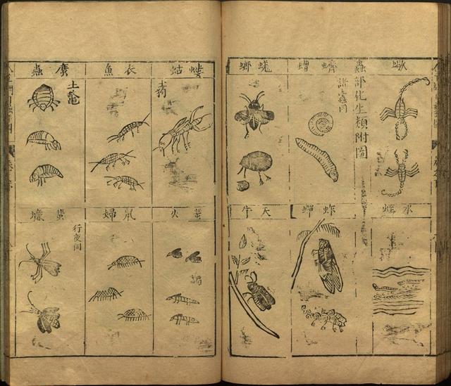 李时珍与本草纲目ppt课件,神农本草经正版李时珍书籍