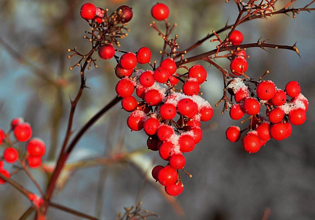 几号立春大寒节气过后还冷吗,2022年南方立春后有倒春寒吗