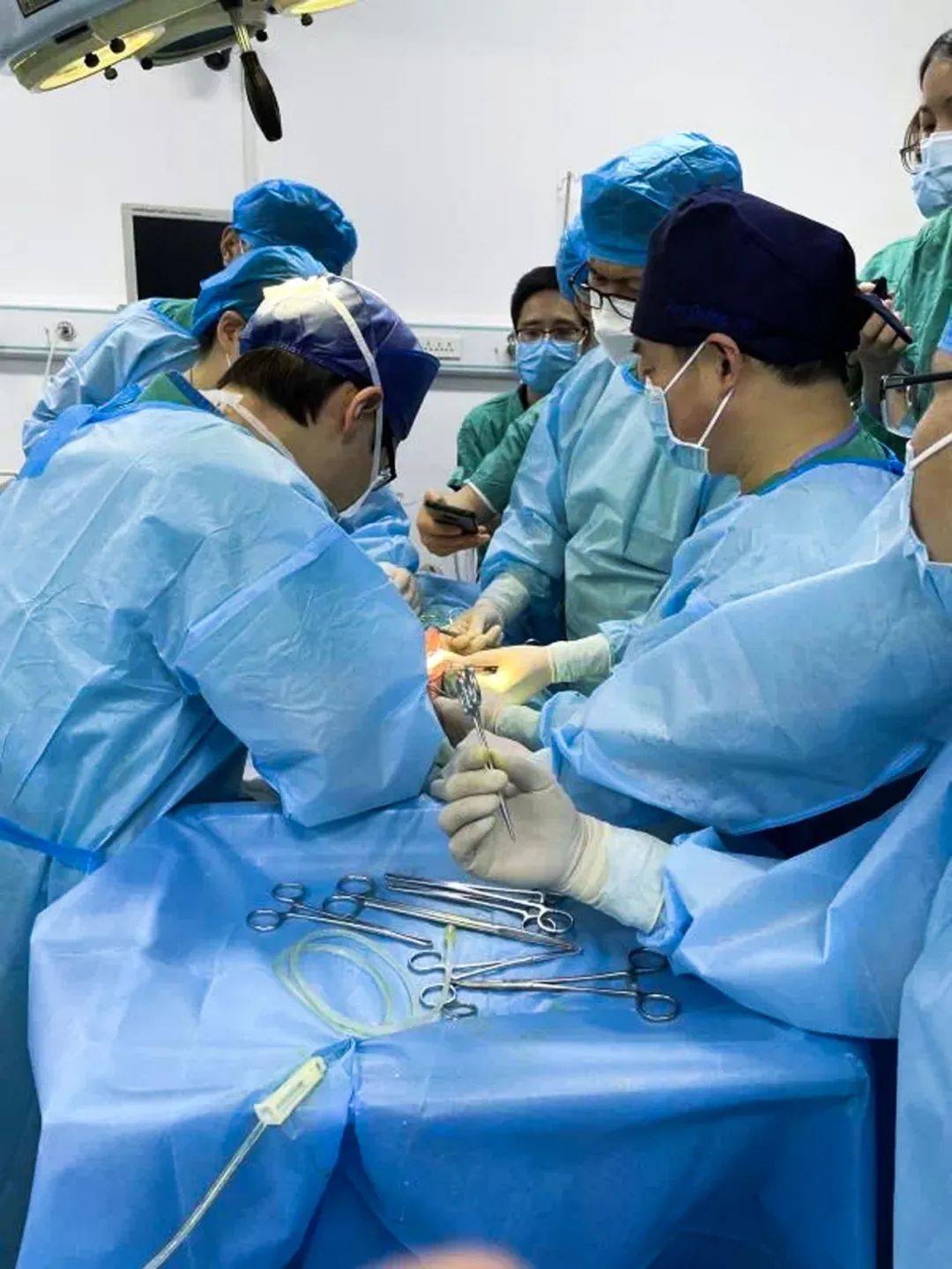 现在人造子宫成熟了吗,人造子宫是否会在2025年成功