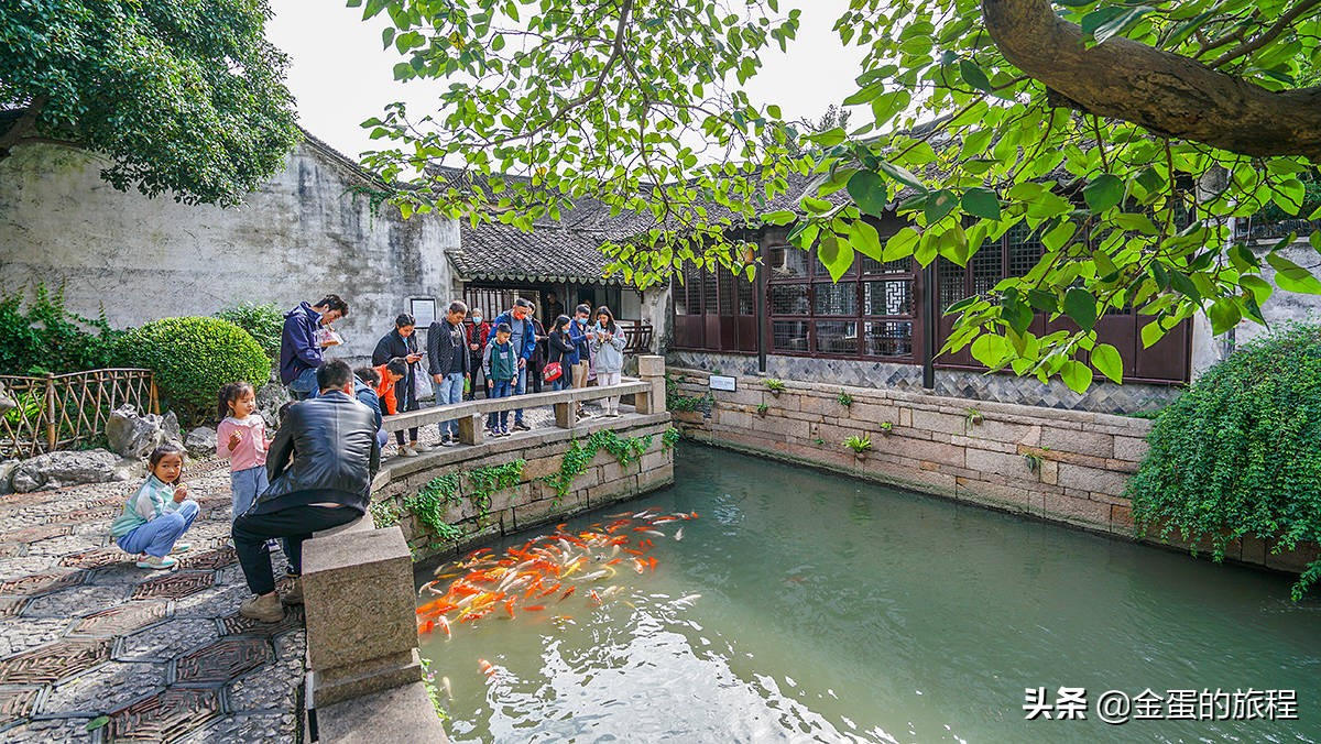 周庄古镇夜景哪里最好,周庄古镇在哪里欣赏夜景最佳