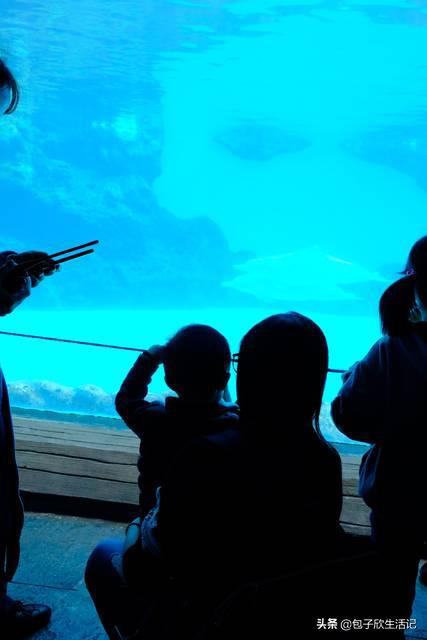 亲子珠海长隆海洋王国一日游攻略,珠海长隆海洋王国游玩攻略亲子