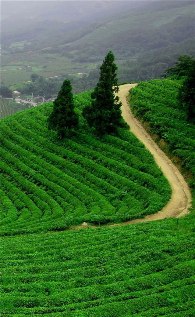 缓解眼睛疲劳壁纸颜色,缓解眼睛疲劳的壁纸高清