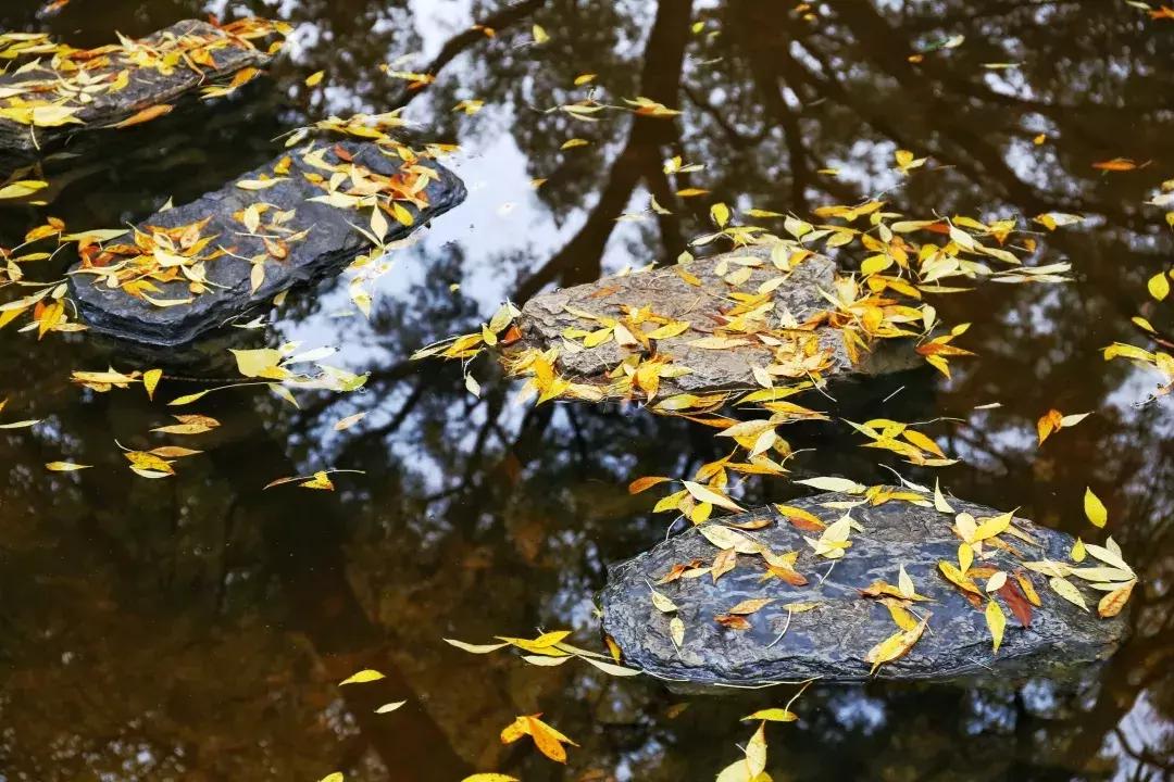 人大硕士值得上吗,人大硕士的难度