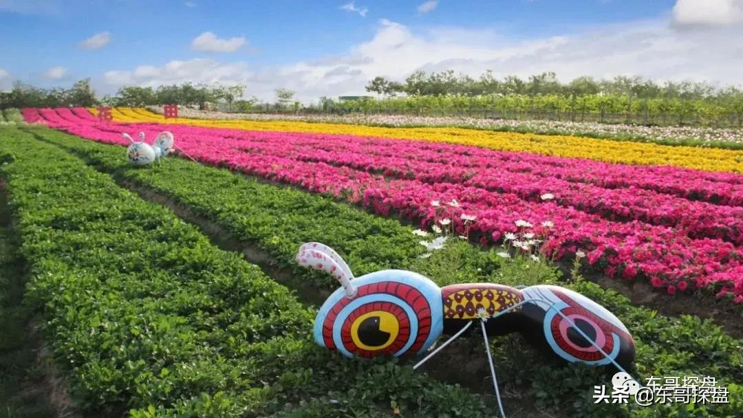 能在阳台观山望湖的地铁盘，有什么理由不拿下？