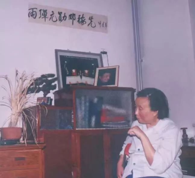 邓稼先与许鹿希的旷世爱情演讲,如何在线阅读许鹿希写的邓稼先传