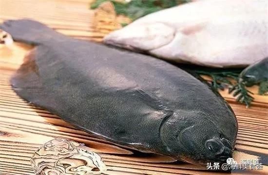 好吃不贵的海鲜种类有哪些,最好吃又最常见海鲜有几种