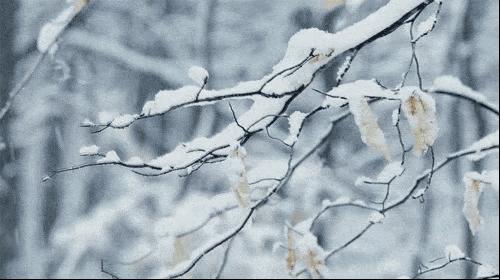 金海汤泉温泉自助,金海湾汤泉门票抖音团购价