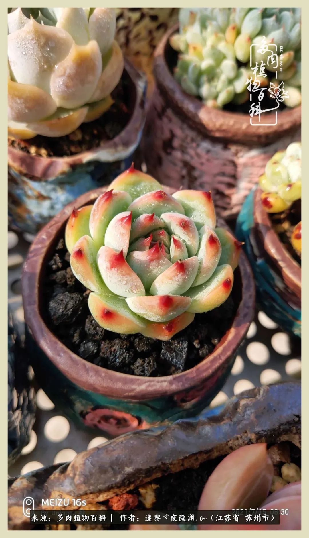 秋尽冬来岁月不居时节如流,岁月不居时节如流水