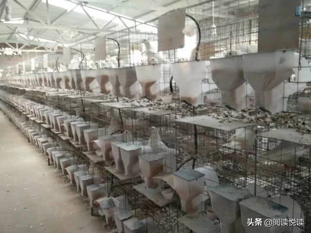 身残志坚，高位截瘫也阻止不了他的创业步伐