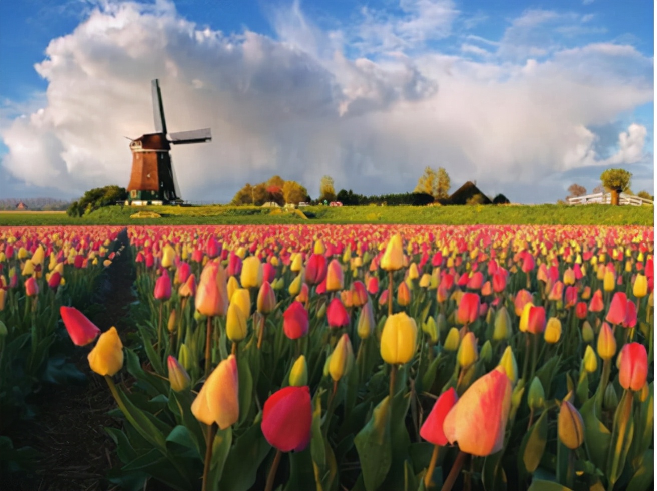 带你了解一个真实的荷兰国,了解荷兰这个国家的特点