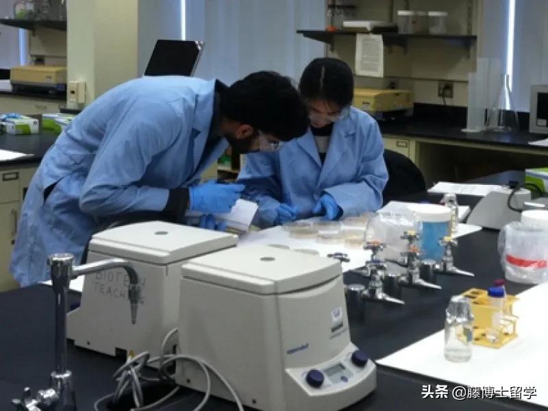 你需要了解的智能家居技术新趋势,国家发布的十大新兴专业