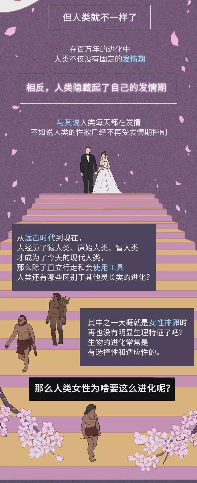 为什么人类365天总想着啪啪啪？？致那些全年无休的有趣年轻人