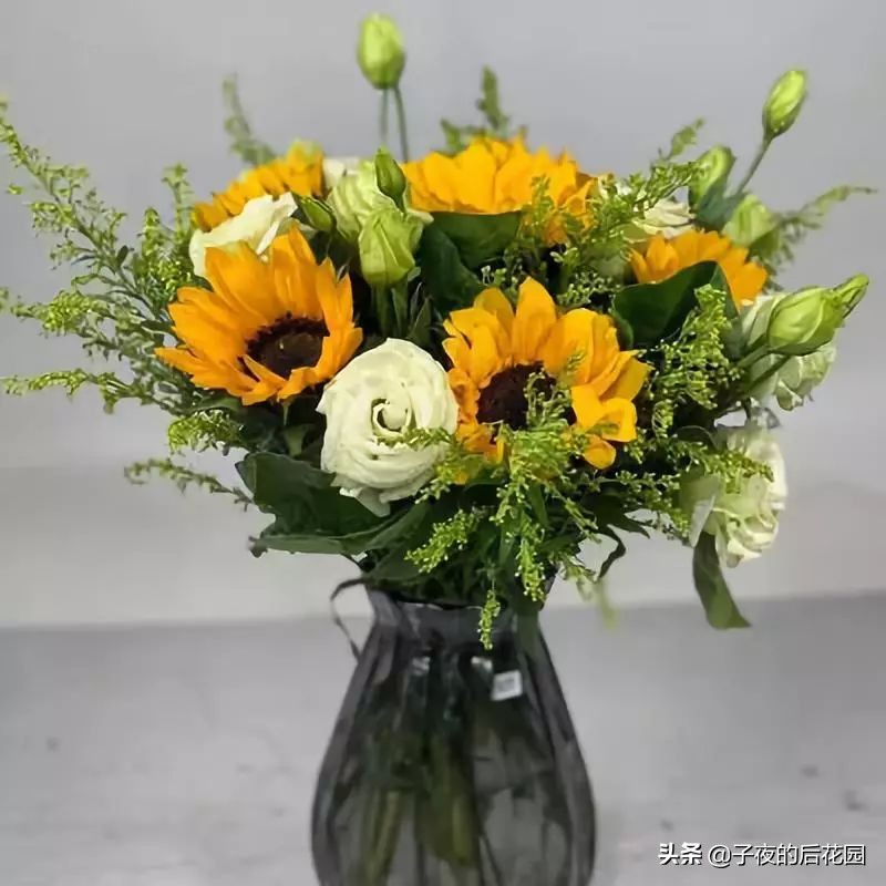 花店常用的配花配草有哪些方法,常见配花配草