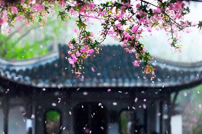 春分送你最美的祝福,春分是春暖花开的季节