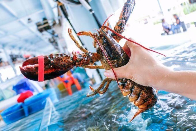 一家三口的第一次远行三亚之旅,带爸爸妈妈去三亚旅行攻略