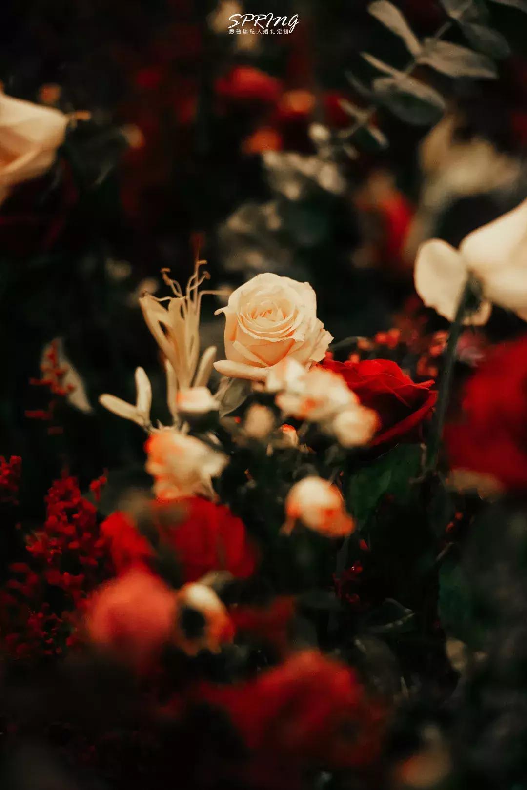 简单奢华高级感婚礼流程,从5个维度塑造沉浸式婚礼体验