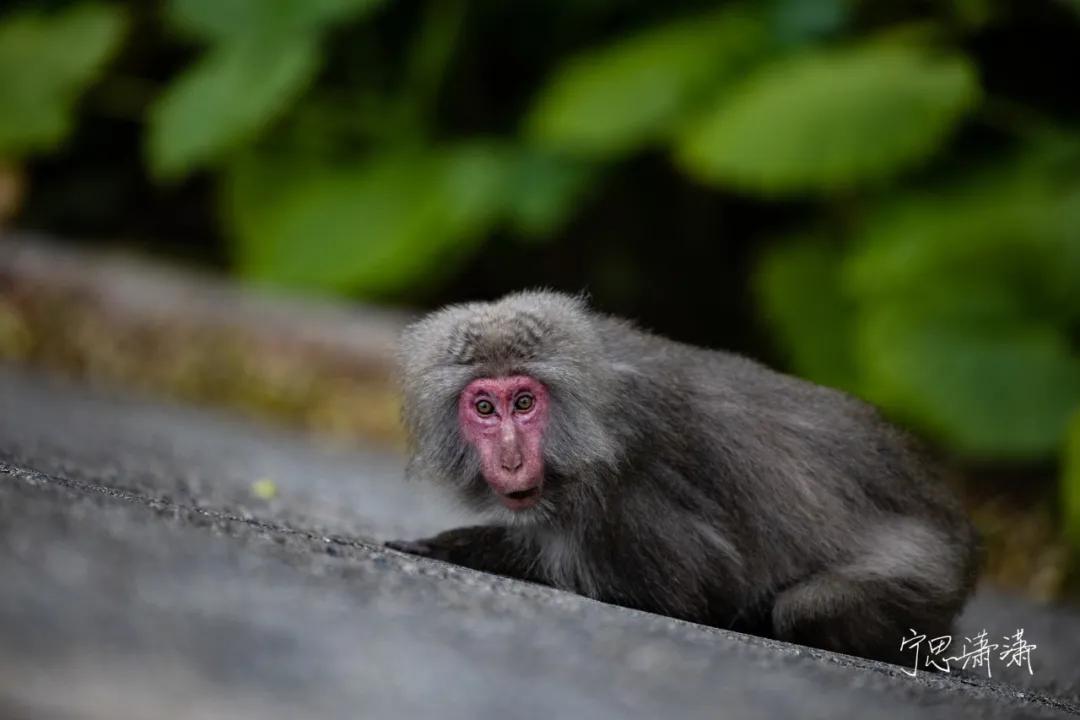 摄影初学者预算两千买什么相机,家用和旅游摄影买什么相机