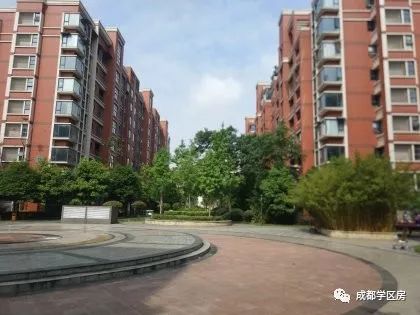 天府新区第五小学待遇,天府新区第五小学对口中学