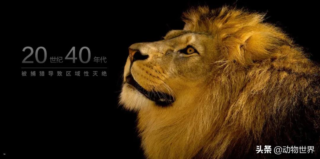 守护生物多样性,请继续保持我们的生物多样性