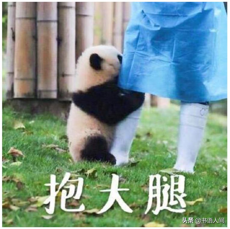 好好说话需要技巧,好好说话应该怎么说